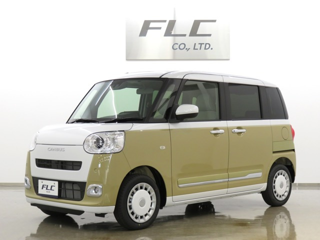 ムーヴキャンバス  ストライプス G