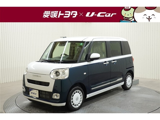 ムーヴキャンバス  ストライプス G