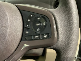 クルーズコントロールを装備しています。高速道路などで一定の速度で走ってくれるので運転が楽ですよ!速度を設定できますので、スピードの出しすぎにも注意できます。