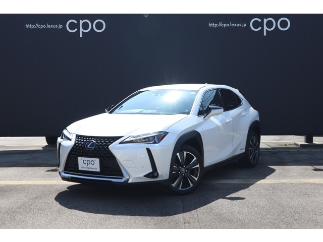 UX 250h バージョンC 