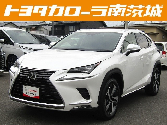 NX 300 バージョンL 4WD 
