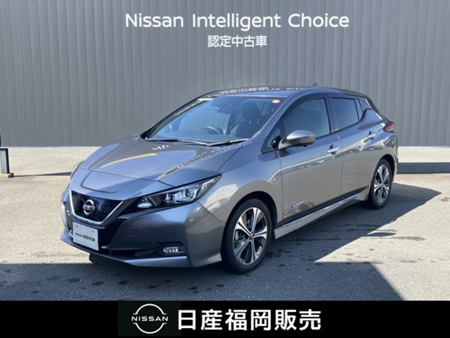 リーフ  X Vセレクション