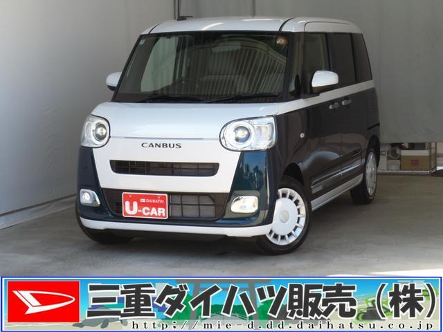 ムーヴキャンバス  ストライプス G