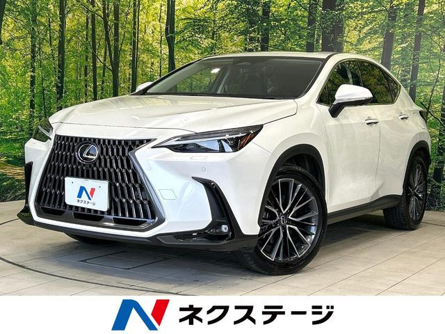 NX 350h バージョンL （6AA-AAZH20）