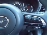 ミリ波レーダーで前方車との速度差や車間距離を認識し0km/h〜高速域までの範囲で先行車との車間を維持しながら追従走行が可能になります。長距離ドライブや高速運転に不慣れな方でも自動で速度をコントロールします