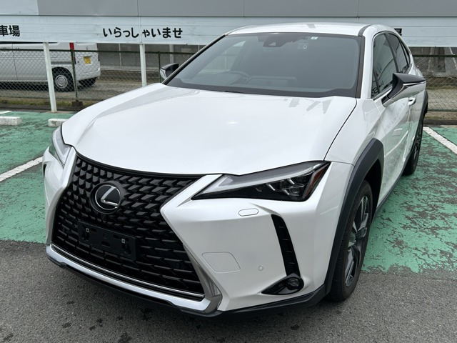 UX 250h バージョンC 