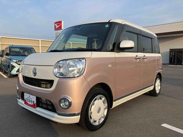 ムーヴキャンバス X リミテッド メイクアップ SAIII 