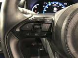 ステアリングスイッチ付き。前方から目を離すことなく操作することが可能です。