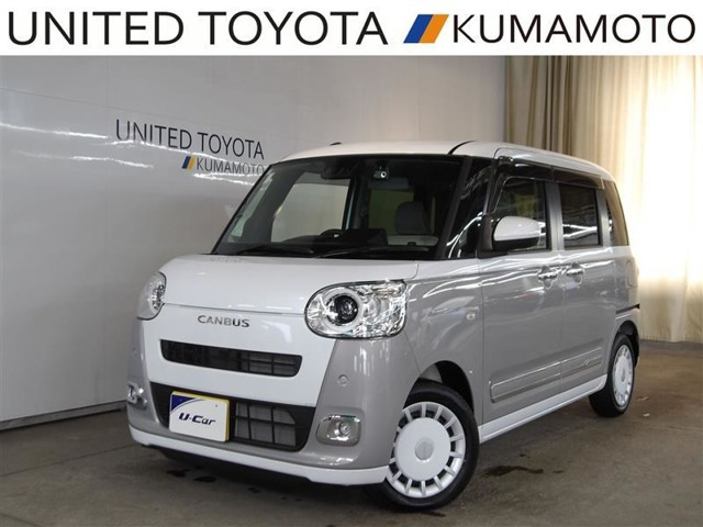 ムーヴキャンバス  ストライプス G