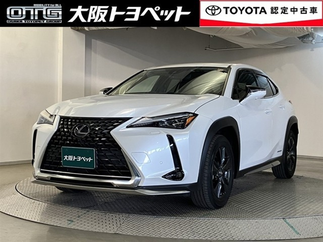 UX 250h バージョンC 