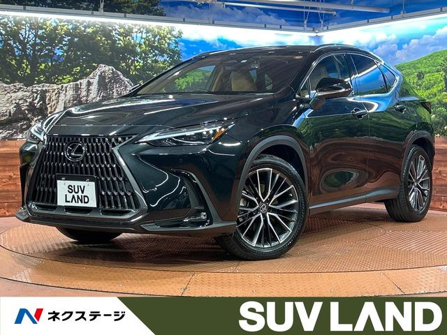 NX 350h バージョンL （6AA-AAZH20）