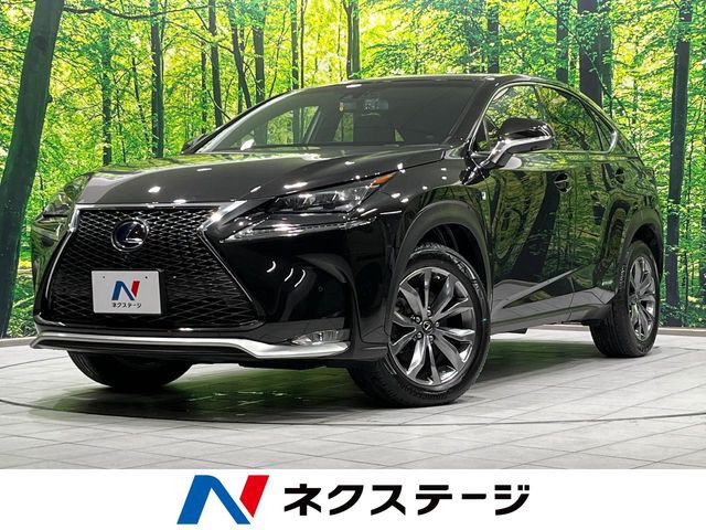 NX 300h Fスポーツ
