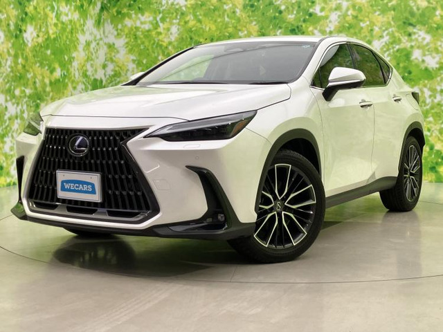 NX 250 バージョンL 