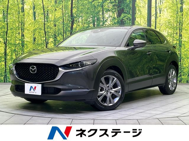 CX-30 2.0 20S プロアクティブ