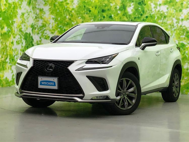 NX 300 Fスポーツ 