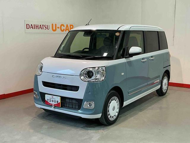 ムーヴキャンバス  ストライプス G