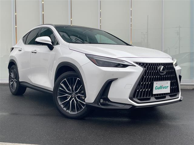 NX 350h バージョンL 本革シート サンルーフ（6AA-AAZH20）