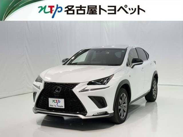 NX 300 Fスポーツ （DBA-AGZ10）