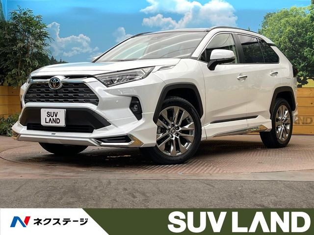 RAV4 2.0 G Zパッケージ 4WD （6BA-MXAA54）