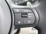 ◆アダプティブクルーズコントロール◆予め設定した車速内でクルマが自動的に加減速。前走車との適切な車間距離を維持しながら追従走行します。【LKAS】車線維持支援システムでステアリング操作を支援。