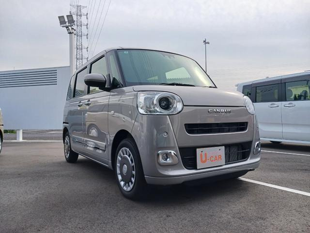 ムーヴキャンバス  セオリー G