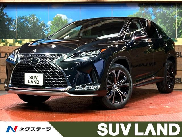 RX 300 バージョンL （DBA-AGL20W）