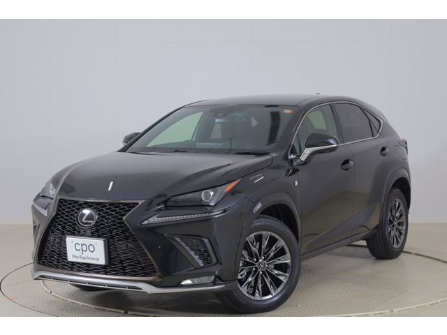 NX 300 クール&ブライト