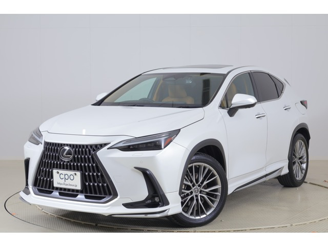 NX 250 バージョンL NX 250 バージョンL