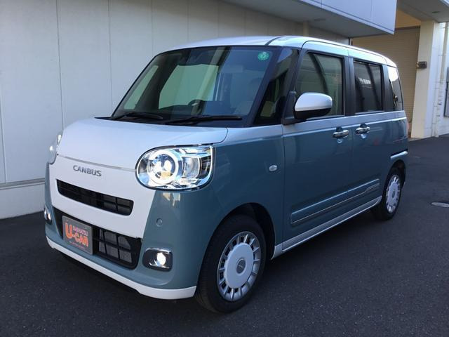 ムーヴキャンバス  ストライプス G