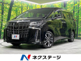サンルーフ 両側電動ドア BIG-X11型ナビ 後席モニター