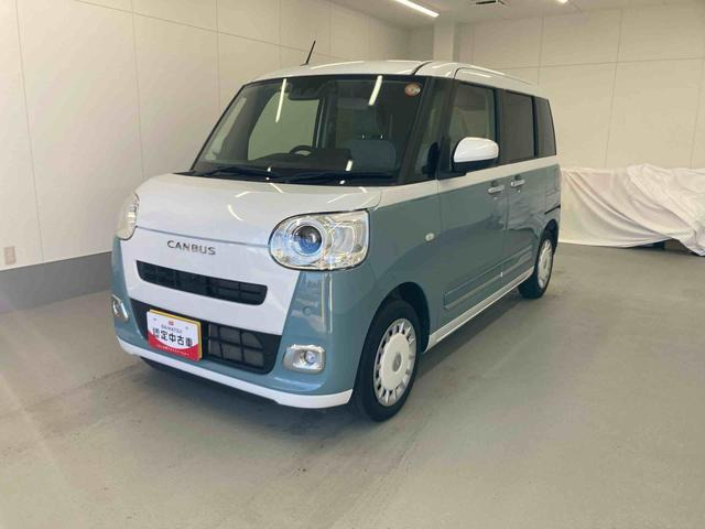 ムーヴキャンバス  ストライプス G