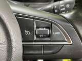 【クルーズコントロール】高速道路もラクラク走行。アクセルを離しても一定速度で走行ができ、長距離運転時の負担を軽減!加速・減速も簡単なスイッチ操作で調整できます。