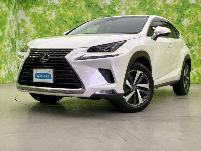 NX 300h バージョンL 