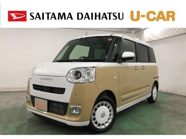 ムーヴキャンバス  ストライプス G