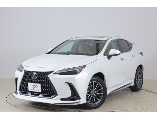 NX 250 バージョンL NX 250 バージョンL