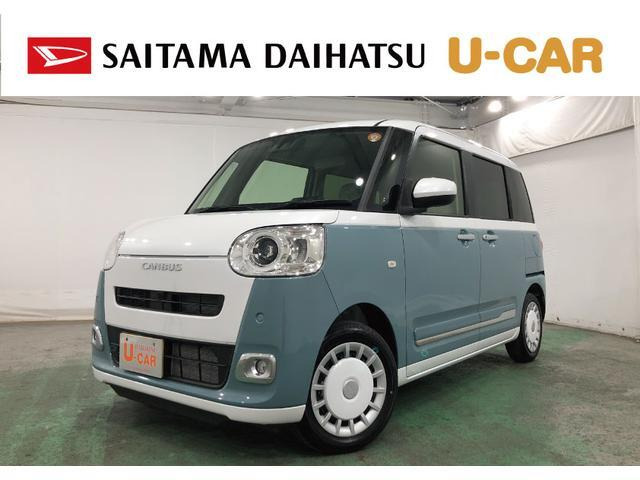 ムーヴキャンバス  ストライプス G