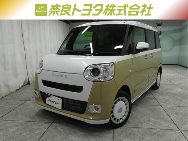 ムーヴキャンバス  ストライプス G