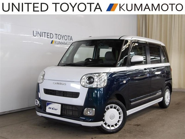 ムーヴキャンバス  ストライプス G