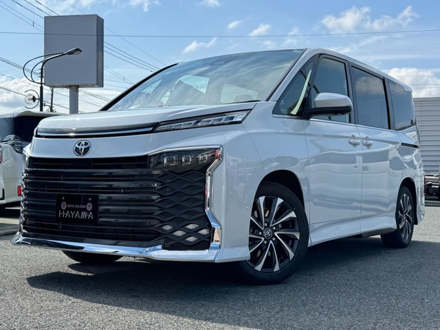 ヴォクシー 2.0 S-Z メーカーOP(特別色・快適利便PKG)