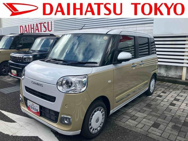 ムーヴキャンバス  ストライプス G