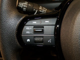 【ステアリングリモコン】ステアリングにオーディオ調節可能なスイッチが装備されていますので運転中でも視線をそらさずにオーディオの調節が可能です!