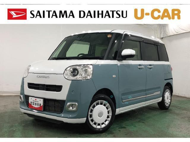 ムーヴキャンバス  ストライプス G