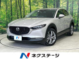 純正10型センターディスプレイ 全周囲カメラ パワーシート 禁煙車