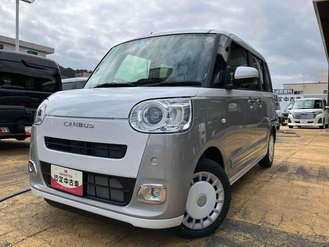 ムーヴキャンバス  ストライプス G