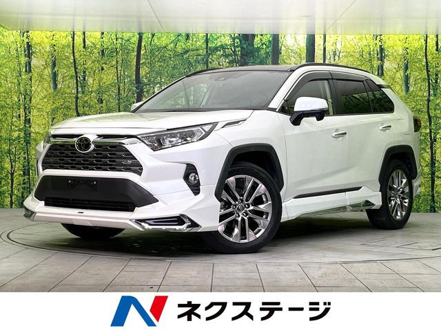 RAV4 2.0 G Zパッケージ 4WD （6BA-MXAA54）