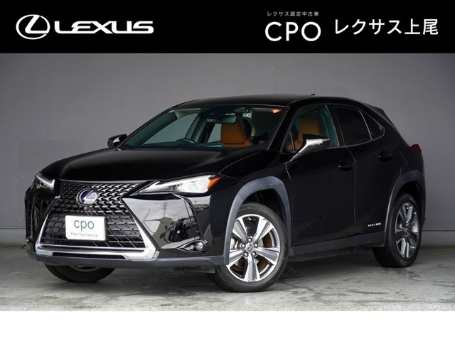 UX 300e バージョンL 