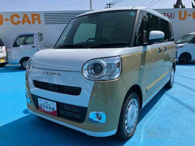 ムーヴキャンバス  ストライプス G