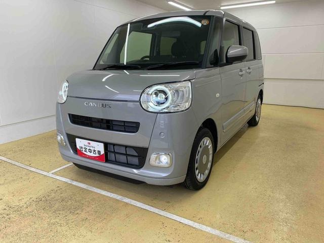 ムーヴキャンバス  セオリー G