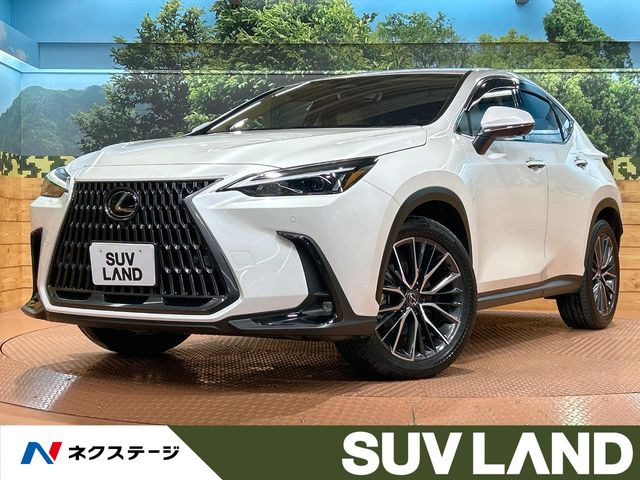 NX 350h （6AA-AAZH20）