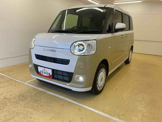 ムーヴキャンバス  ストライプス G